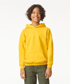 Softstyleï¿½ midweight fleece youth hoodie