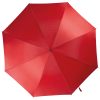 Automatic umbrella