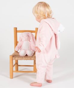 Rabbit all-in-one 