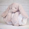 Rabbit and blanket