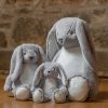 Zippie bunny