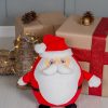 Zippie Father Christmas