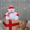 Zippie snowman