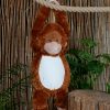 Zippie orangutan