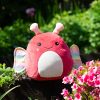 Squidgyï¿½s by Mumbles