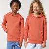 Kids Mini Cruiser 2-0 iconic hoodie sweatshirt (STSK180)