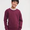 Kids Authentic Raglan Sweat