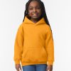 Heavy Blend Youth Hooded Sweatshirt