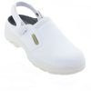 Hygiene Non Slip Clog